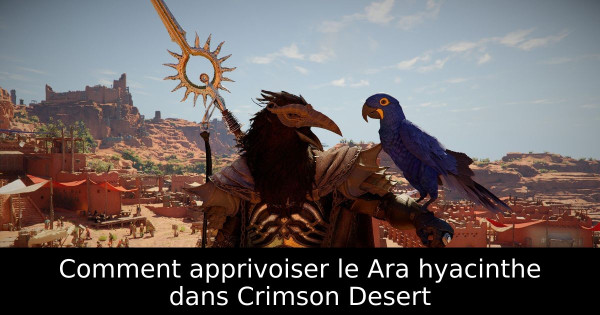 Comment apprivoiser le Ara hyacinthe dans Crimson Desert