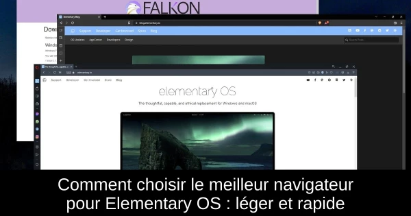 Comment choisir le meilleur navigateur pour Elementary OS : léger et rapide