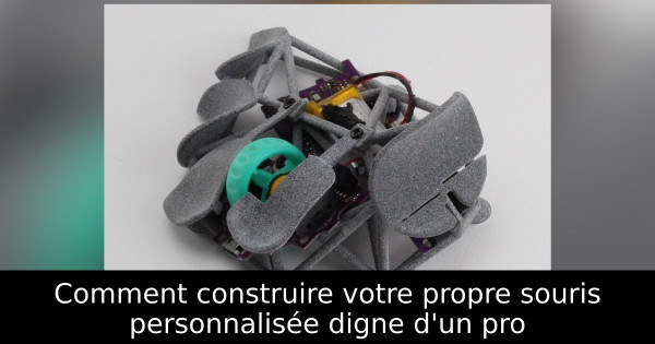 Comment construire votre propre souris personnalisée digne d'un pro