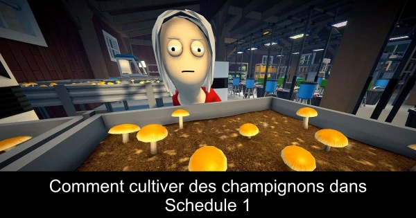 Comment cultiver des champignons dans Schedule 1