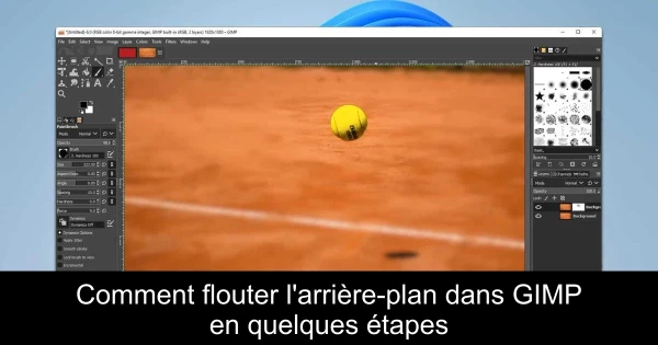 Comment flouter l'arrière-plan dans GIMP en quelques étapes