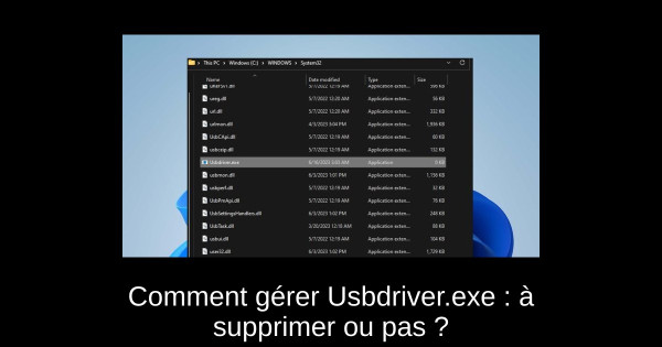 Comment gérer Usbdriver.exe : à supprimer ou pas ?