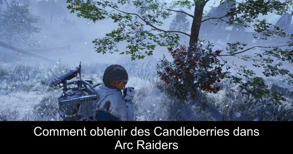 Comment obtenir des Candleberries dans Arc Raiders