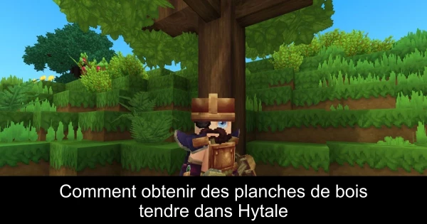 Comment obtenir des planches de bois tendre dans Hytale