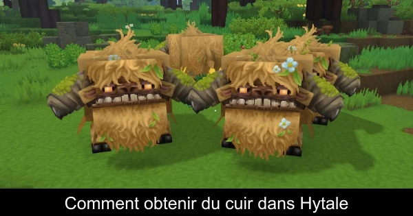 Comment obtenir du cuir dans Hytale