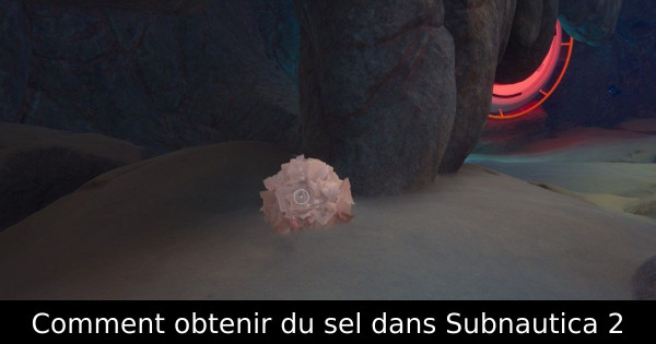 Comment obtenir du sel dans Subnautica 2