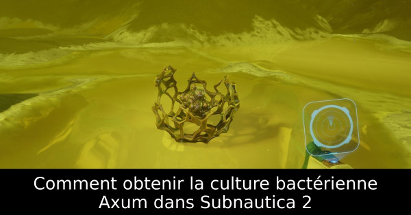 Comment obtenir la culture bactérienne Axum dans Subnautica 2