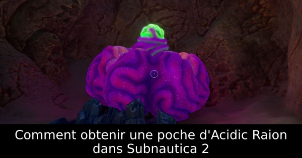 Comment obtenir une poche d'Acidic Raion dans Subnautica 2