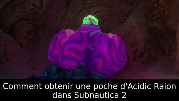 Comment obtenir une poche d'Acidic Raion dans Subnautica 2