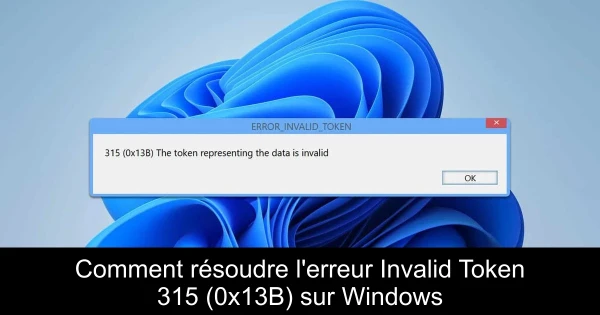 Comment résoudre l'erreur Invalid Token 315 (0x13B) sur Windows
