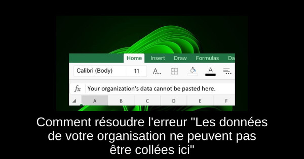 Comment résoudre l'erreur "Les données de votre organisation ne peuvent pas être collées ici"