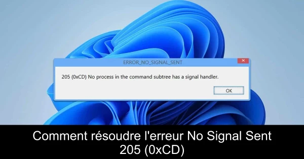 Comment résoudre l'erreur No Signal Sent 205 (0xCD)