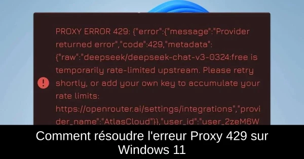 Comment résoudre l'erreur Proxy 429 sur Windows 11