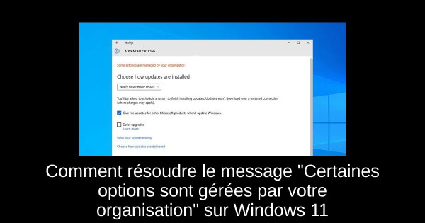 Comment résoudre le message "Certaines options sont gérées par votre organisation" sur Windows 11