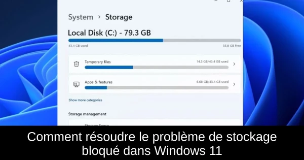 Comment résoudre le problème de stockage bloqué dans Windows 11