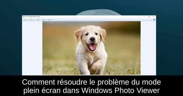 Comment résoudre le problème du mode plein écran dans Windows Photo Viewer
