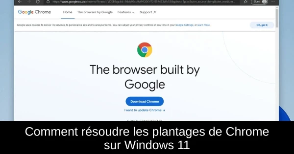 Comment résoudre les plantages de Chrome sur Windows 11