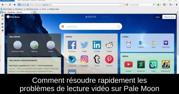 Comment résoudre rapidement les problèmes de lecture vidéo sur Pale Moon