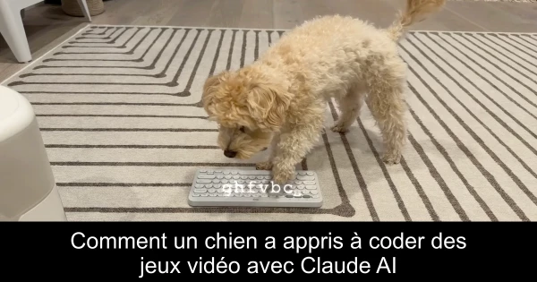 Comment un chien a appris à coder des jeux vidéo avec Claude AI