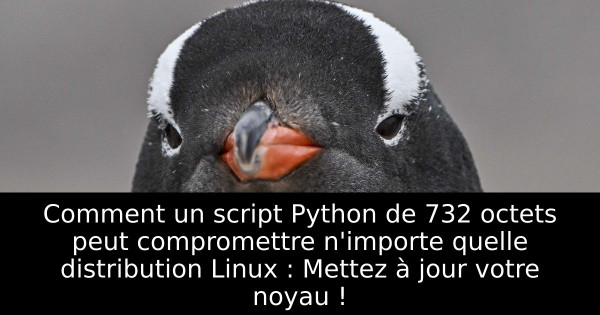 Comment un script Python de 732 octets peut compromettre n'importe quelle distribution Linux : Mettez à jour votre noyau !