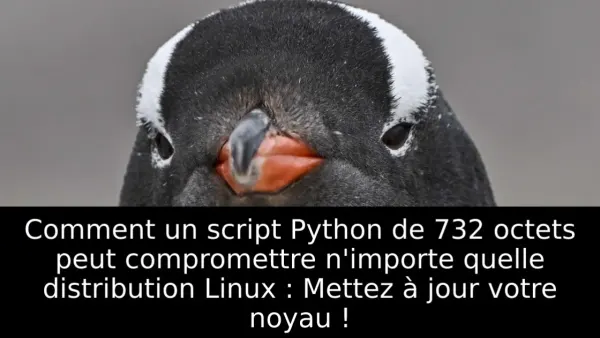 Comment un script Python de 732 octets peut compromettre n'importe quelle distribution Linux : Mettez à jour votre noyau !