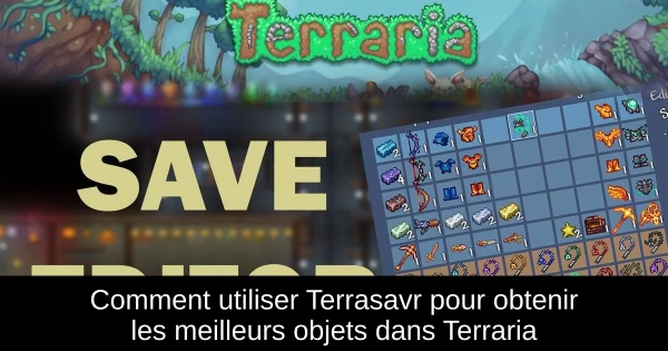 Comment utiliser Terrasavr pour obtenir les meilleurs objets dans Terraria Comment utiliser Terrasavr pour obtenir les meilleurs objets dans Terraria