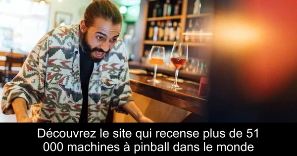 Découvrez le site qui recense plus de 51 000 machines à pinball dans le monde