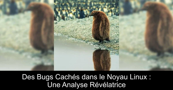 Des Bugs Cachés dans le Noyau Linux : Une Analyse Révélatrice