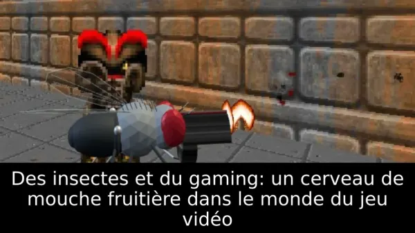 Des insectes et du gaming: un cerveau de mouche fruitière dans le monde du jeu vidéo