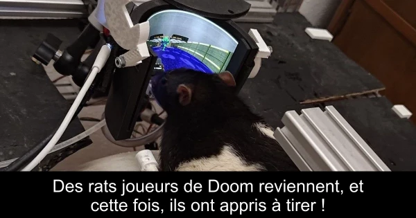 Des rats joueurs de Doom reviennent, et cette fois, ils ont appris à tirer !