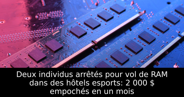 Deux individus arrêtés pour vol de RAM dans des hôtels esports: 2 000 $ empochés en un mois