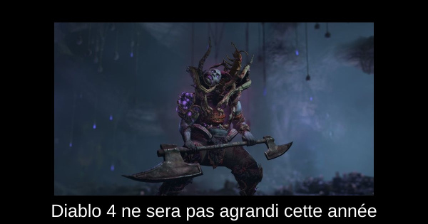 Diablo 4 ne sera pas agrandi cette année