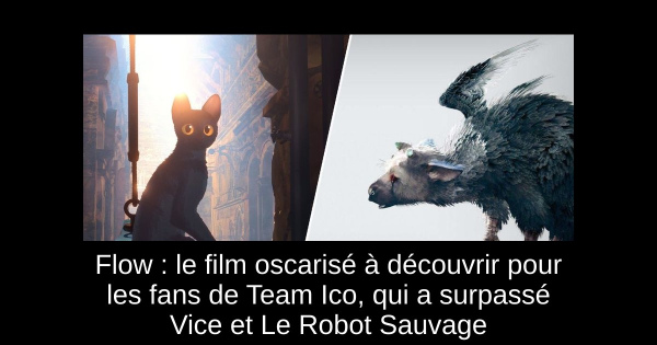 Flow : le film oscarisé à découvrir pour les fans de Team Ico, qui a surpassé Vice et Le Robot Sauvage
