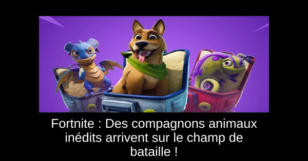 Fortnite : Des compagnons animaux inédits arrivent sur le champ de bataille !