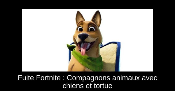Fuite Fortnite : Compagnons animaux avec chiens et tortue