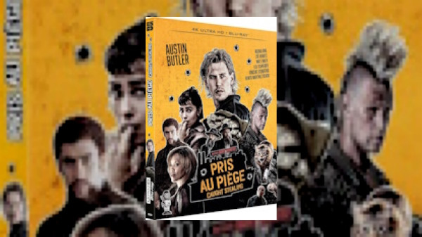 Pris au piège - Caught Stealing (blu-ray 4K) [FR] : les meilleures offres par magasin