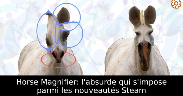 Horse Magnifier: l'absurde qui s'impose parmi les nouveautés Steam