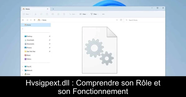 Hvsigpext.dll : Comprendre son Rôle et son Fonctionnement