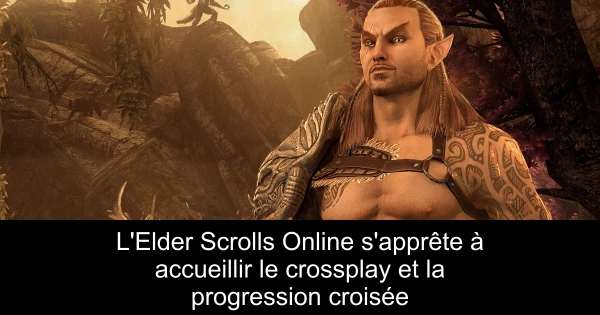 L'Elder Scrolls Online s'apprête à accueillir le crossplay et la progression croisée