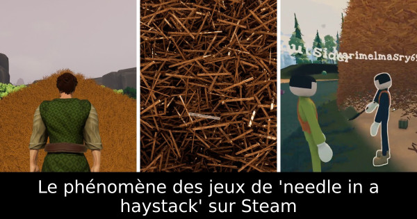 Le phénomène des jeux de 'needle in a haystack' sur Steam