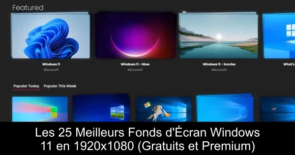 Les 25 Meilleurs Fonds d'Écran Windows 11 en 1920x1080 (Gratuits et Premium)