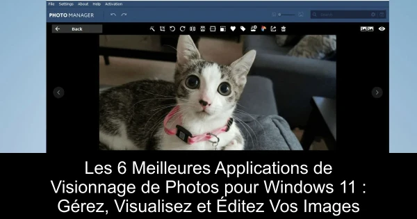 Les 6 Meilleures Applications de Visionnage de Photos pour Windows 11 : Gérez, Visualisez et Éditez Vos Images