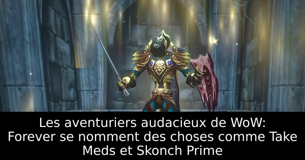 Les aventuriers audacieux de WoW: Forever se nomment des choses comme Take Meds et Skonch Prime