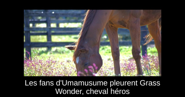 Les fans d'Umamusume pleurent Grass Wonder, cheval héros