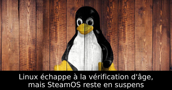 Linux échappe à la vérification d'âge, mais SteamOS reste en suspens
