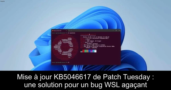 Mise à jour KB5046617 de Patch Tuesday : une solution pour un bug WSL agaçant