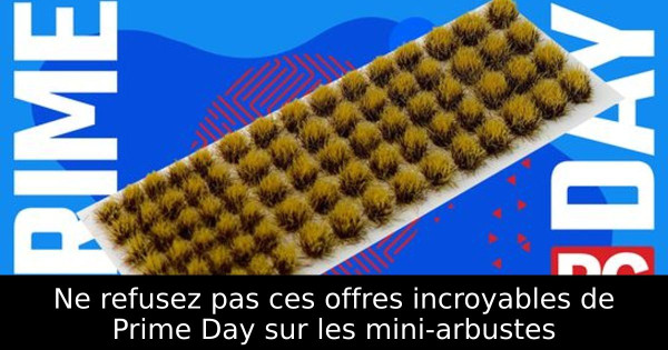 Ne refusez pas ces offres incroyables de Prime Day sur les mini-arbustes