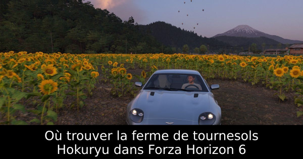 Où trouver la ferme de tournesols Hokuryu dans Forza Horizon 6