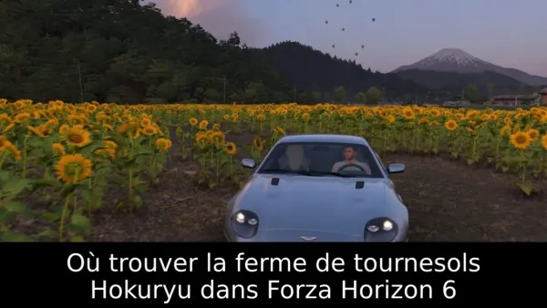 Où trouver la ferme de tournesols Hokuryu dans Forza Horizon 6