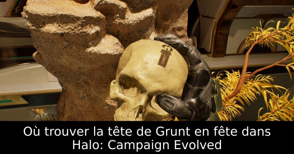 Où trouver la tête de Grunt en fête dans Halo: Campaign Evolved